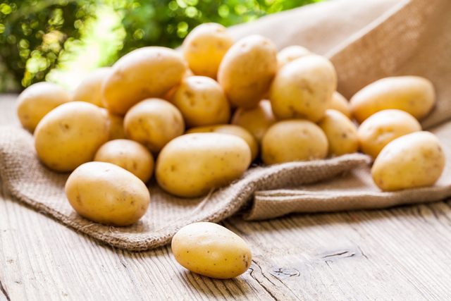 Сорта картофеля в Беларуси - фото